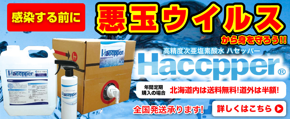 ハセッパーについて